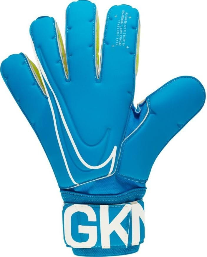 Nike NK GK SGT PREMIER-FA19 Kapuskesztyű